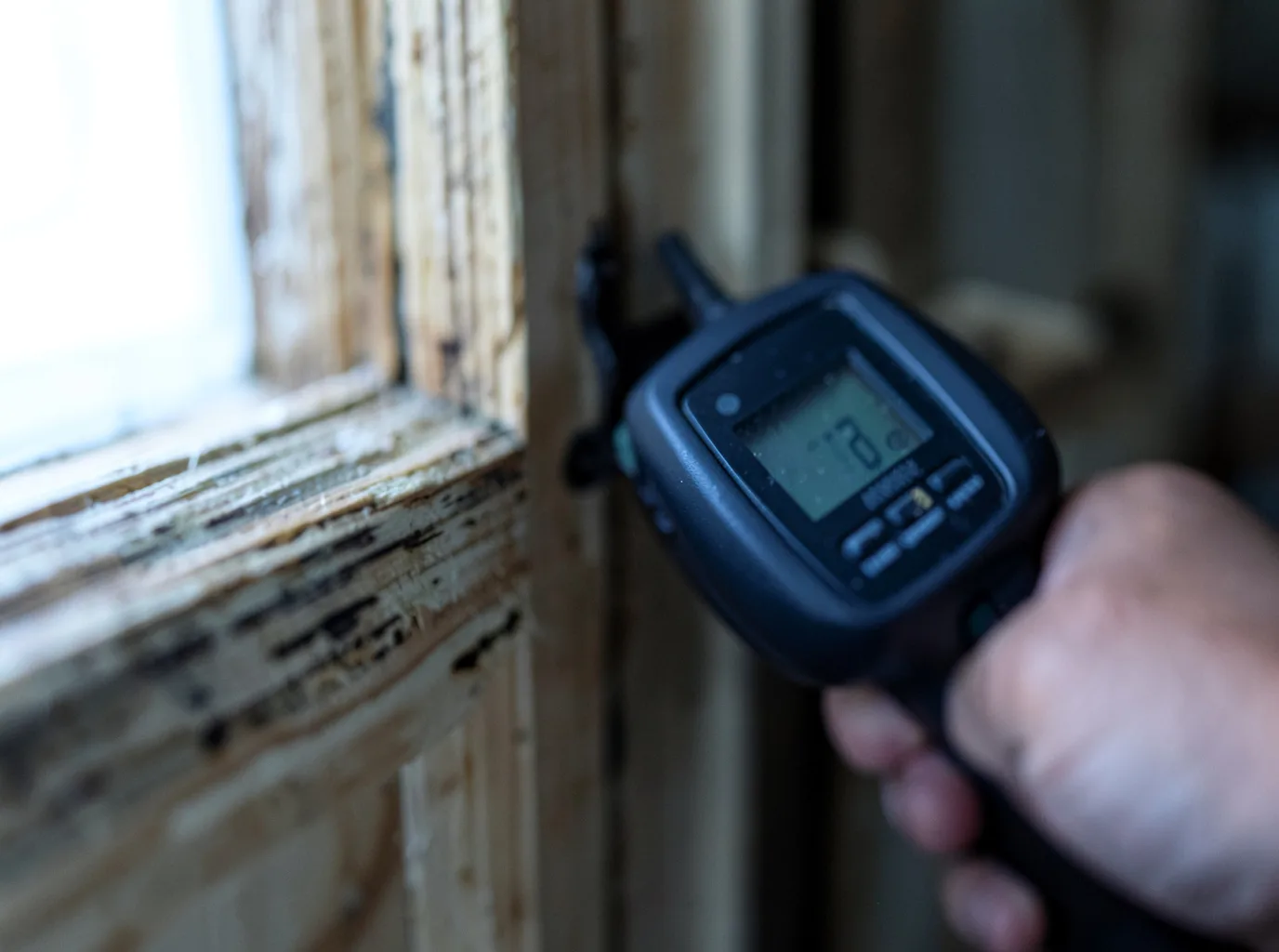 Moisture Inspection And Documentation in Aliceville, AL